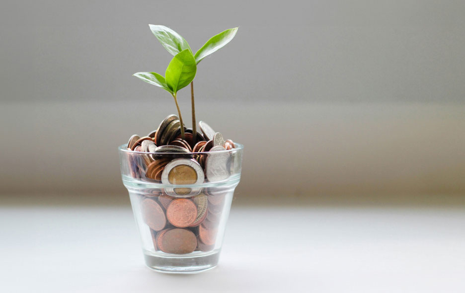 Clear Cup Full of Coins with a Small Plant Growing Out